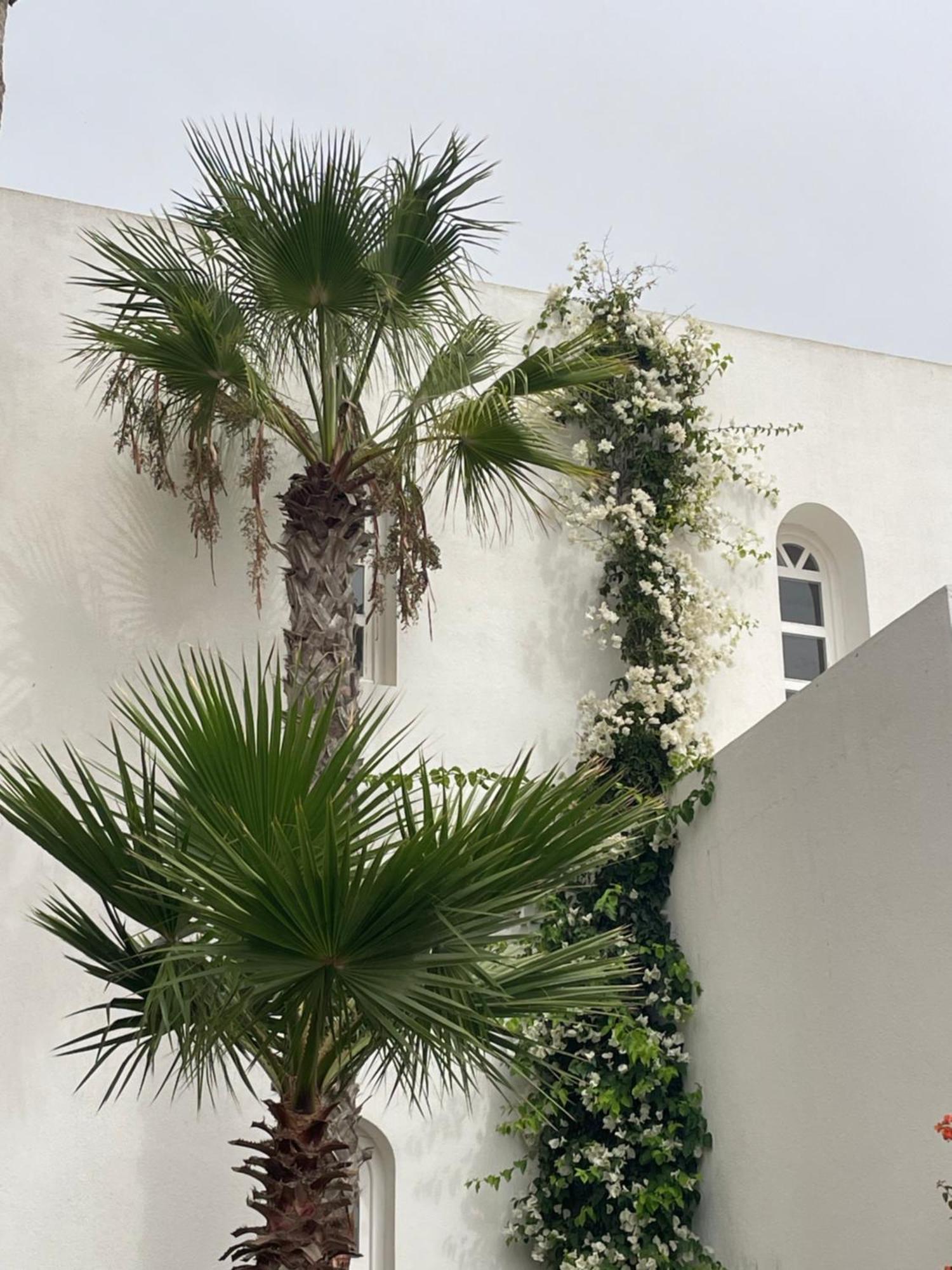 Villa La Falaise Oualidia Εξωτερικό φωτογραφία